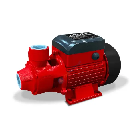RODEX ELEKTRİKLİ SU POMPASI 1X 1 60M 750W/1,0HP