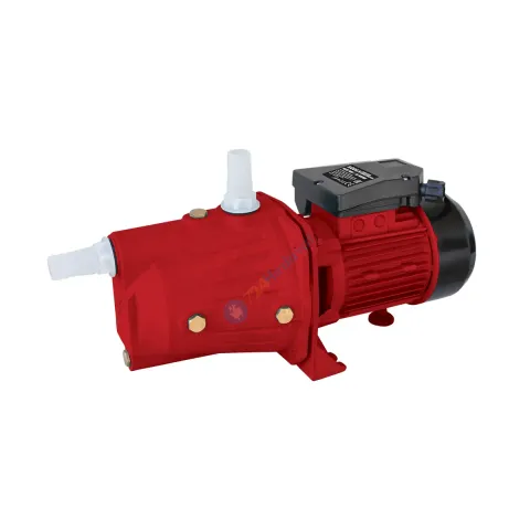 RODEX RDX876 ELEKTRİKLİ JET TİPİ SU POMPASI 1'' X 1'' 46M 750W