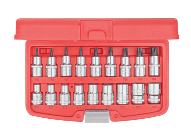 Ceta Form C20-18PTX 18 Parça 1/2'' TORX Lokma Takımı