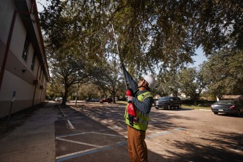 Milwaukee M18 BLTS-0 TELESKOPİK YÜKSEK DAL BUDAMA ( akü ve şarj cihazı dahil değildir )