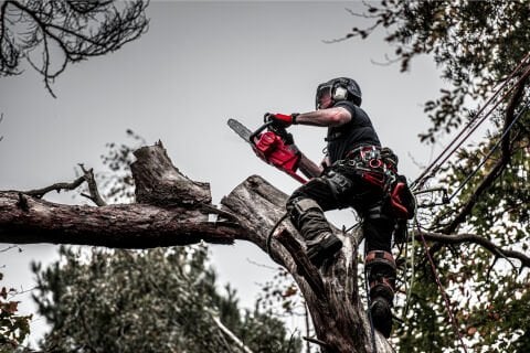 Milwaukee M18 FCHS-122B AKÜLÜ ORMAN MOTORU