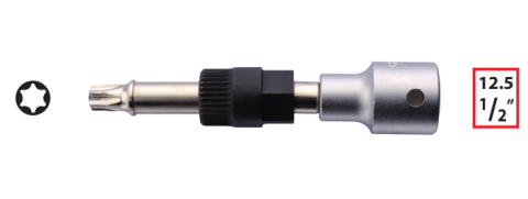 Ceta Form N42-01T50 1/2'' TORX Alternatör Lokması - T50